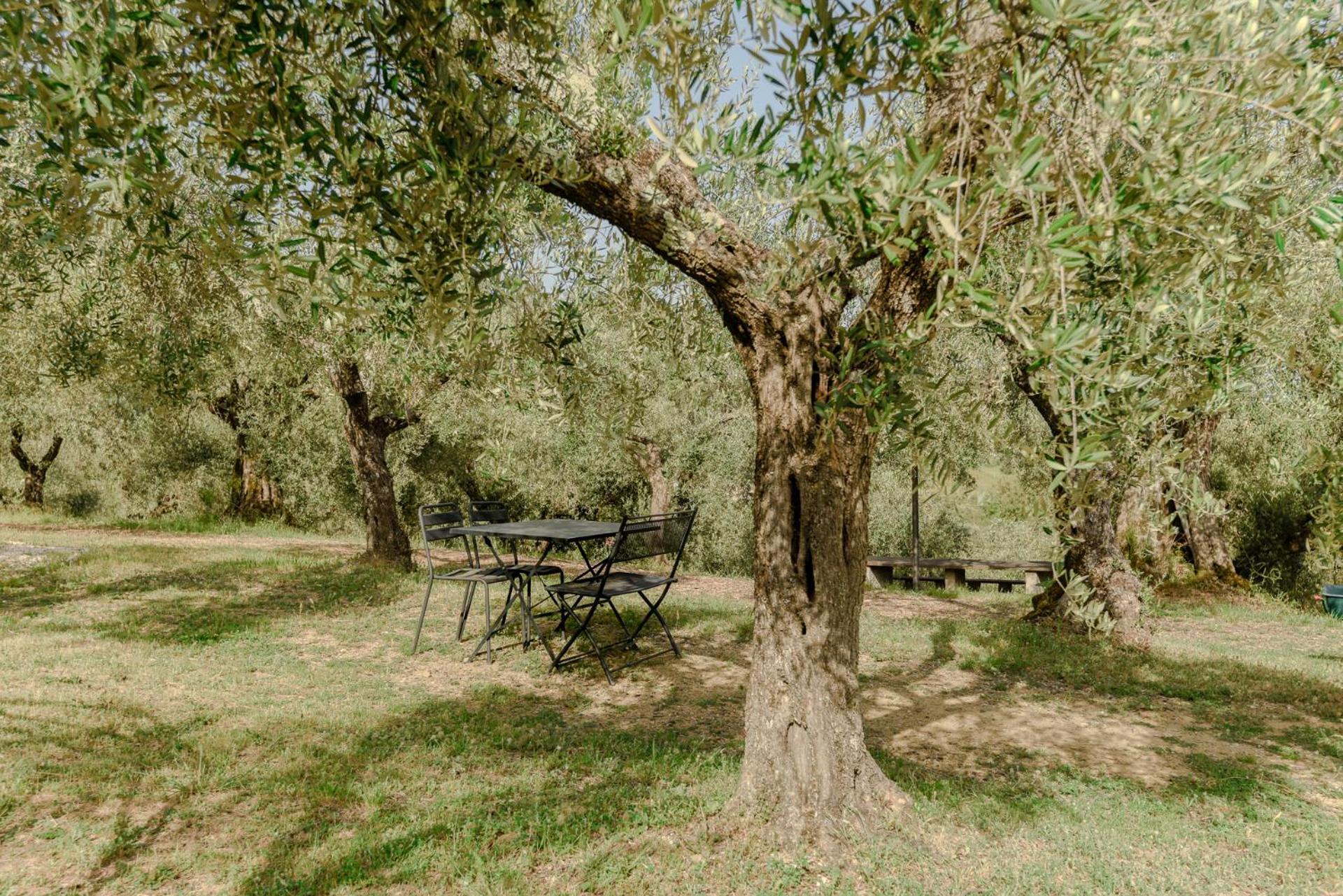 Agriturismo Il Mulino Delle Canutole Magione Εξωτερικό φωτογραφία